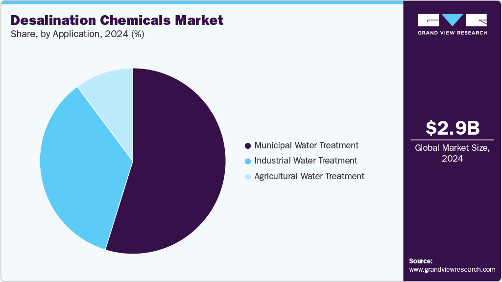 Desalination Chemicals Market Share